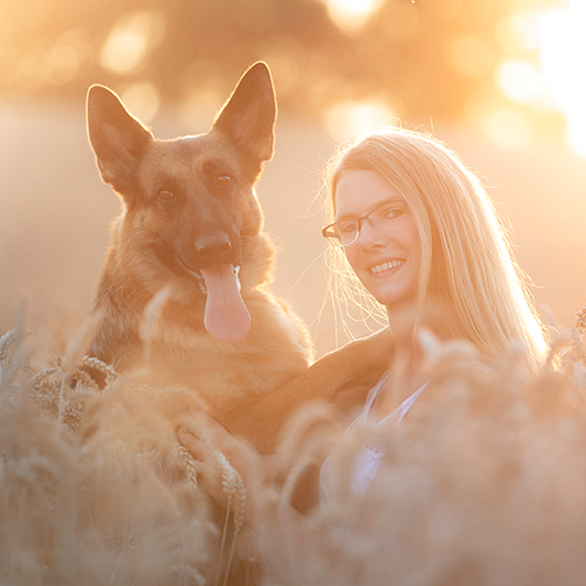 Foto von einer Frau mit ihrem deutschen Schäferhund bei Sonnenuntergang im Kornfeld